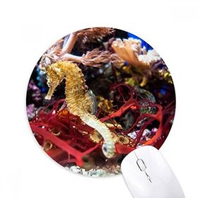 Dıythinker Okyanus Derin Su Mavi Hippocampus Su Baskılı Yuvarlak Kaymaz Kauçuk Mouse Pad