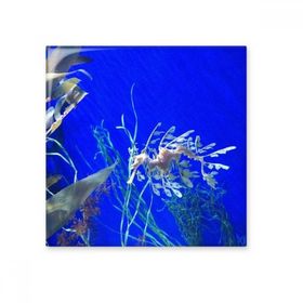 Dıythinker Okyanus Derin Su Mavi Hippocampus Su Resmi Seramik 10x10 cm Seramik Karo
