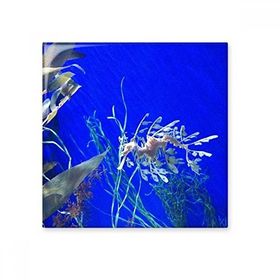 Dıythinker Okyanus Derin Su Mavi Hippocampus Su Resmi Seramik 10x10 cm Seramik Karo