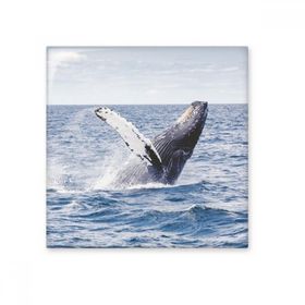 Dıythinker Okyanus Kambur Balık Bilimi Doğa Resim Seramik 10x10 cm Seramik Karo