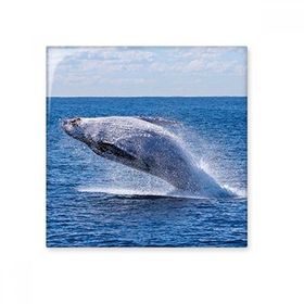 Dıythinker Okyanus Kambur Balık Bilimi Doğa Resim Seramik 10x10 cm Seramik Karo