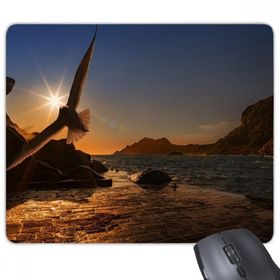Dıythinker Okyanus Kartal Bilim Doğa Resim Dikdörtgen Kaymaz Kauçuk Mouse Pad