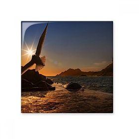 Dıythinker Okyanus Kartal Bilim Doğa Resim Seramik 10x10 cm Seramik Karo