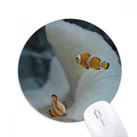 Dıythinker Okyanus Palyaço Balık Bilim Doğa Resim Baskılı Yuvarlak Kaymaz Kauçuk Mouse Pad