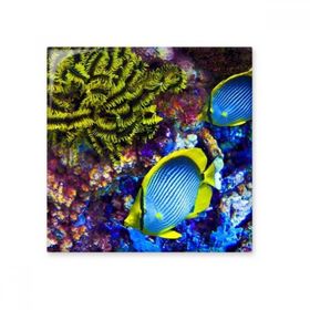 Dıythinker Okyanus Renkli Balık Bilimi Doğa Resim 20x20 cm Seramik Karo