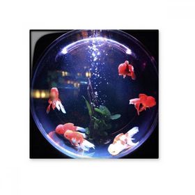 Dıythinker Okyanus Renkli Balık Bilimi Doğa Resim 20x20 cm Seramik Karo
