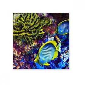 Dıythinker Okyanus Renkli Balık Bilimi Doğa Resim 20x20 cm Seramik Karo