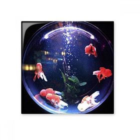 Dıythinker Okyanus Renkli Balık Bilimi Doğa Resim 20x20 cm Seramik Karo