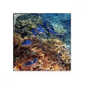 Dıythinker Okyanus Renkli Balık Bilimi Doğa Resim 20x20 cm Seramik Karo