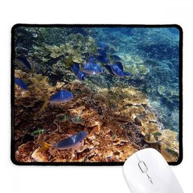 Dıythinker Okyanus Renkli Balık Bilimi Doğa Resmi Kaymaz Siyah Başlıklı Kenarlar Mouse Pad