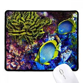 Dıythinker Okyanus Renkli Balık Bilimi Doğa Resmi Kaymaz Siyah Başlıklı Kenarlar Mouse Pad