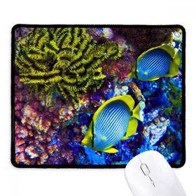 Dıythinker Okyanus Renkli Balık Bilimi Doğa Resmi Kaymaz Siyah Başlıklı Kenarlar Mouse Pad