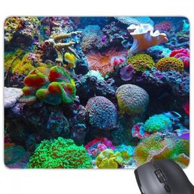 Dıythinker Okyanus Renkli Mercan Bilim Doğa Resim Dikdörtgen Kaymaz Kauçuk Mouse Pad