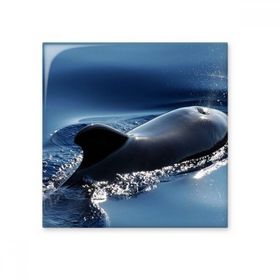 Dıythinker Okyanus Su Deniz Balina Bilim Doğa Resim 20x20 cm Seramik Karo