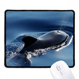 Dıythinker Okyanus Su Deniz Balina Bilim Doğa Resim Kaymaz Siyah Başlıklı Kenarlar Mouse Pad