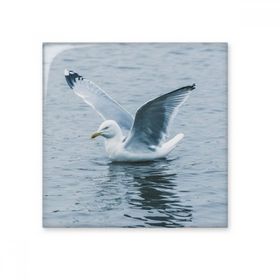 Dıythinker Okyanus Su Deniz Kuş Bilim Doğa Resim Seramik 10x10 cm Seramik Karo