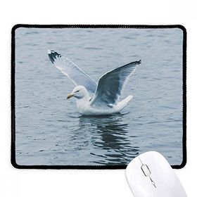 Dıythinker Okyanus Su Deniz Kuş Bilim Doğa Resmi Kaymaz Siyah Başlıklı Kenarlar Mouse Pad