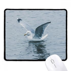 Dıythinker Okyanus Su Deniz Kuş Bilim Doğa Resmi Kaymaz Siyah Başlıklı Kenarlar Mouse Pad