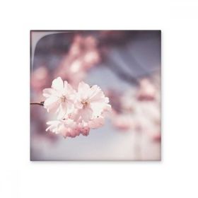Dıythinker Pembe Beyaz Loş Çiçekler 10x10 cm Seramik Karo