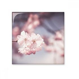 Dıythinker Pembe Beyaz Loş Çiçekler 10x10 cm Seramik Karo