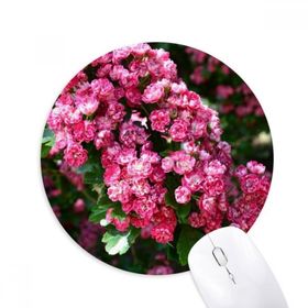 Dıythinker Pembe Çiçekler Güzel Yeşil Yapraklar Baskılı Yuvarlak Kaymaz Kauçuk Mouse Pad