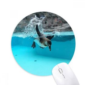 Dıythinker Penguen Okyanus Antarktik Bilim Doğa Resim Baskılı Yuvarlak Kaymaz Kauçuk Mouse Pad