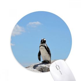 Dıythinker Penguen Okyanus Antarktik Bilim Doğa Resim Baskılı Yuvarlak Kaymaz Kauçuk Mouse Pad