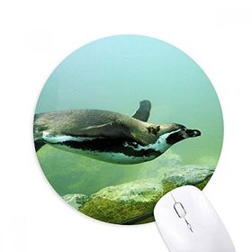 Dıythinker Penguen Okyanus Antarktik Bilim Doğa Resim Baskılı Yuvarlak Kaymaz Kauçuk Mouse Pad
