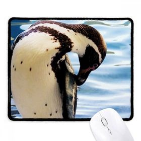 Dıythinker Penguen Okyanus Antarktik Bilim Doğa Resim Kaymaz Siyah Başlıklı Kenarlar Mouse Pad