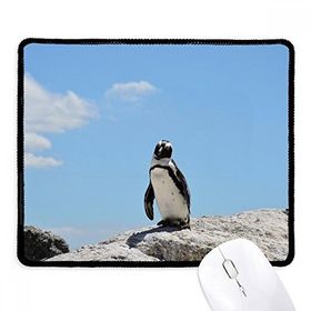 Dıythinker Penguen Okyanus Antarktik Bilim Doğa Resim Kaymaz Siyah Başlıklı Kenarlar Mouse Pad