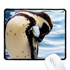 Dıythinker Penguen Okyanus Antarktik Bilim Doğa Resim Kaymaz Siyah Başlıklı Kenarlar Mouse Pad