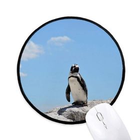 Dıythinker Penguen Okyanus Antarktika Bilim Doğa Resim Yuvarlak Kaymaz Mouse Pad