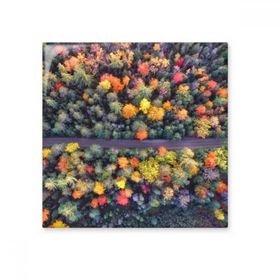 Dıythinker Renkli Ormancılık Bilim Doğa Manzarası 15x15 cm Seramik Karo