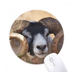 Dıythinker Resim Karasal Organizma Vahşi Hayvan Baskılı Yuvarlak Kaymaz Kauçuk Mouse Pad