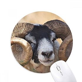 Dıythinker Resim Karasal Organizma Vahşi Hayvan Baskılı Yuvarlak Kaymaz Kauçuk Mouse Pad