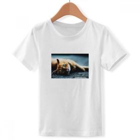 DIYthinker S Beyaz Erkek Çocuk Hayvan Saf Mavi Gözlü Kedi Fotoğrafı Bisiklet Yaka Tişört