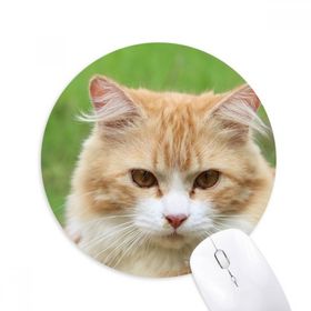 Dıythinker Sarı Çizgili Kedi Stare Evcil Hayvan Baskılı Yuvarlak Kaymaz Kauçuk Mouse Pad