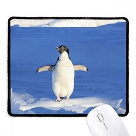 Dıythinker Sevimli Beyaz Penguen Bilim Doğa Resmi Kaymaz Siyah Başlıklı Kenarlar Mouse Pad
