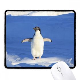 Dıythinker Sevimli Beyaz Penguen Bilim Doğa Resmi Kaymaz Siyah Başlıklı Kenarlar Mouse Pad