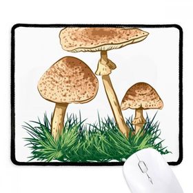 Dıythinker Sevimli Yeşil Bitki Truffle İllüstrasyon Kaymaz Siyah Başlıklı Kenarlar Mouse Pad