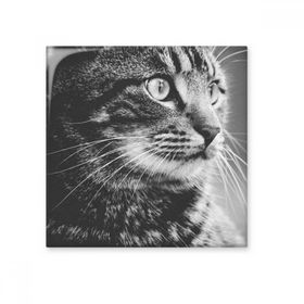 Dıythinker Siyah Beyaz Kedi Profili Vahşi Hayvan Seramik 10x10 cm Seramik Karo
