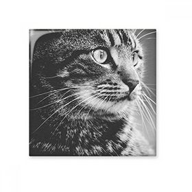 Dıythinker Siyah Beyaz Kedi Profili Vahşi Hayvan Seramik 10x10 cm Seramik Karo