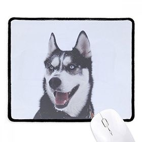 Dıythinker Siyah Big Dog Snow Husky Resim Kaymaz Fare Altlığı