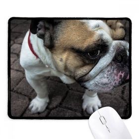 Dıythinker Siyah Bulldog Evcil Hayvan Fotoğrafçılık Resimler Kaymaz Fare Altlığı
