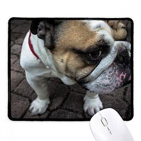 Dıythinker Siyah Bulldog Evcil Hayvan Fotoğrafçılık Resimler Kaymaz Fare Altlığı