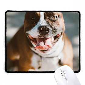 Dıythinker Siyah Bulldog Evcil Hayvan Korkunç Resim Kaymaz Fare Altlığı