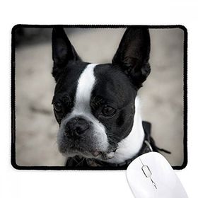 Dıythinker Siyah Bulldog Evcil Hayvan Koyu Resim Kaymaz Fare Altlığı