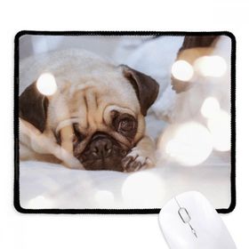 Dıythinker Siyah Bulldog Evcil Hayvan Yalnız Resim Kaymaz Fare Altlığı