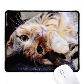 Dıythinker Siyah Çizgili Kitty Cat Relax Hayvan Sevimli Kaymaz Fare Altlığı