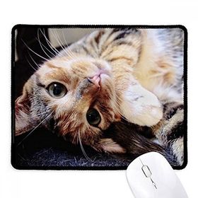 Dıythinker Siyah Çizgili Kitty Cat Relax Hayvan Sevimli Kaymaz Fare Altlığı